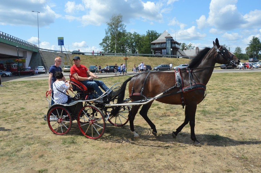 Parada zaprzęgów konnych ulicami Uniejowa