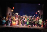 Noc w Wenecji w Gliwickim Teatrze Muzycznym - publiczność zgotowała owację na stojąco