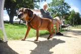 Park miejski w Żarach przy alei Jana Pawła II. Zobacz najnowsze zdjęcia wielomilionowej inwestycji