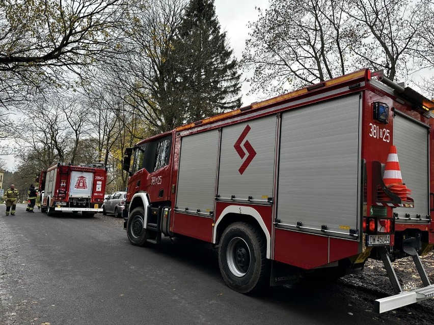 - Strażacy ochotnicy z Mieroszowa oraz strażacy z JRG-1 z...