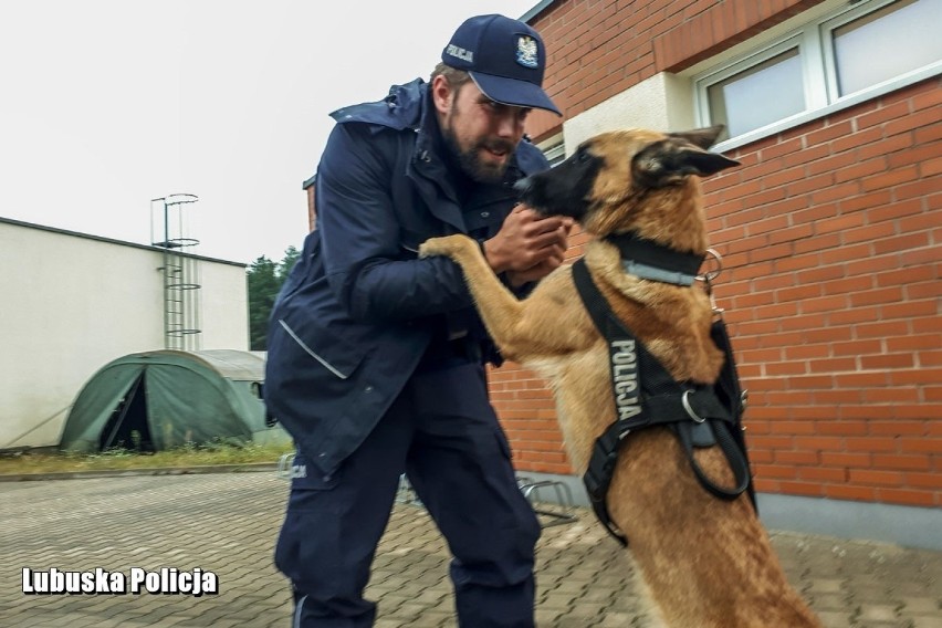 Dzięki pracy mundurowych i ich czworonoga dwóch podejrzanych...