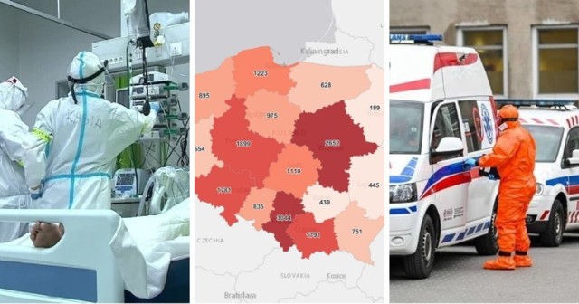 W woj. śląskim przybyło 3044 nowych przypadków zakażenia koronawirusem. Zmarły 3 osoby.

W całej Polsce odnotowano 19 452 przypadków. 

To nowe dane podane przez Ministerstwo Zdrowia 12 grudnia 2021 roku. 

Szczegółowe informacje o zakażeniach w naszym regionie znajdziecie na kolejnych slajdach >>>

Ilu jest chorych w poszczególnych miastach?