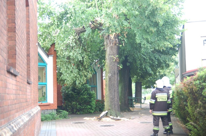 Drzewo runęło na liceum w Zbąszyniu