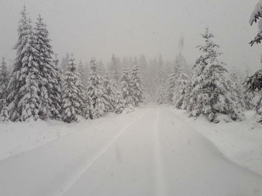 Śniegu dopadało i obecnie w Jakuszycach mamy prawie 65 cm. W...