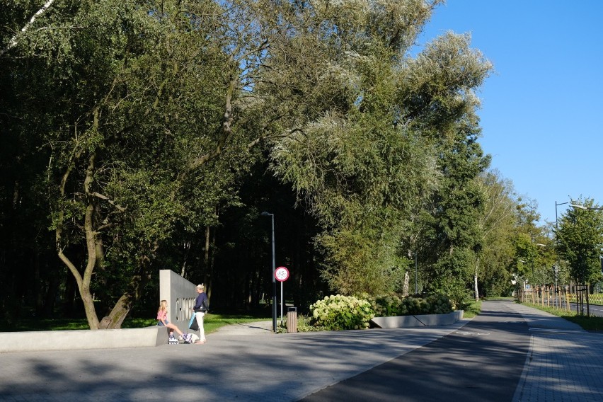 Park Chrobrego w Gliwicach zachwyca. To miejsce wręcz zachęca do wypoczynku! ZDJĘCIA