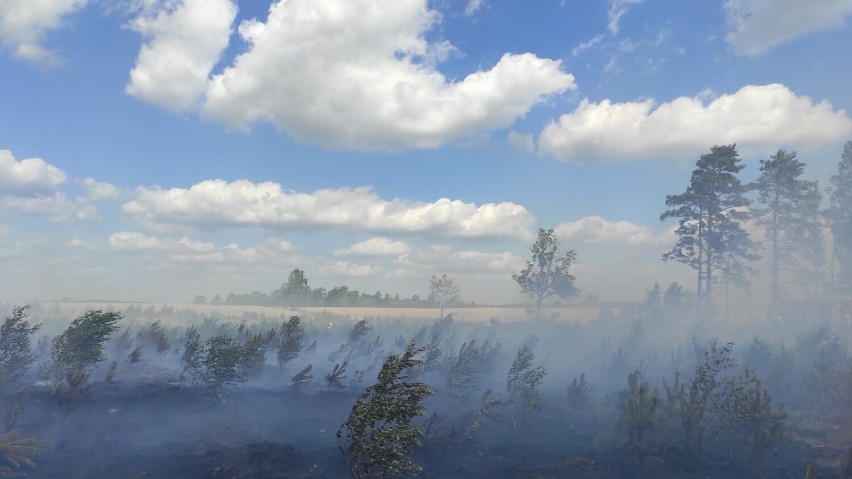 Pożary lasów wokół Szczecinku. Jest sucho jak pieprz [zdjęcia]