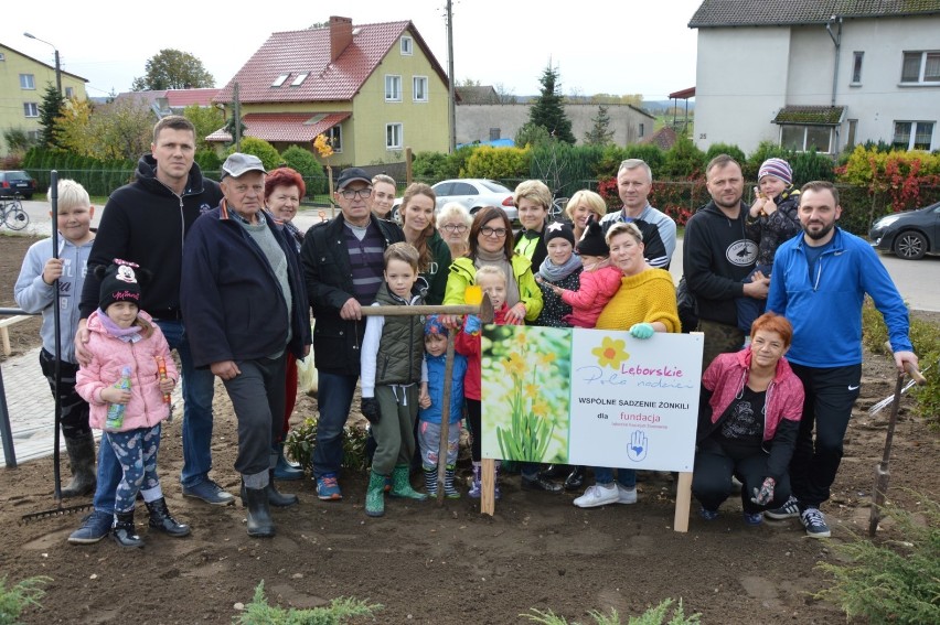 Posadzili kolejne tysiąc żonkili dla hospicjum. Tym razem w Nowej Wsi Lęborskiej