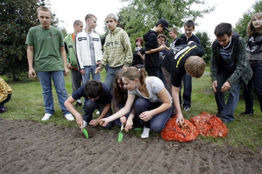 Zdjęcia lubinian z roku 2008