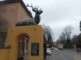 Rzeźby jeleni przy bramie są symbolem osiedla mieszkaniowego w Jeleniej Górze. Skąd się wzięły? Poznajcie niezwykłą historię (FOTO)