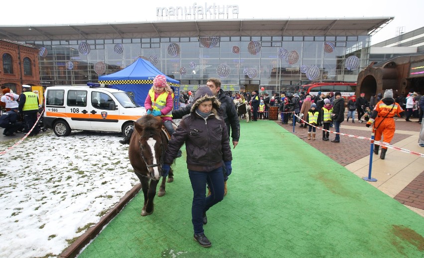 WOŚPowe wydarzenia na rynku Manufaktury / 10.01.2016