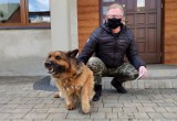 "Otrujemy ci psa, jak nie przestanie szczekać" - mieszkaniec Piotrkowa otrzymał groźbę zabicia jego wilczura [ZDJĘCIA]