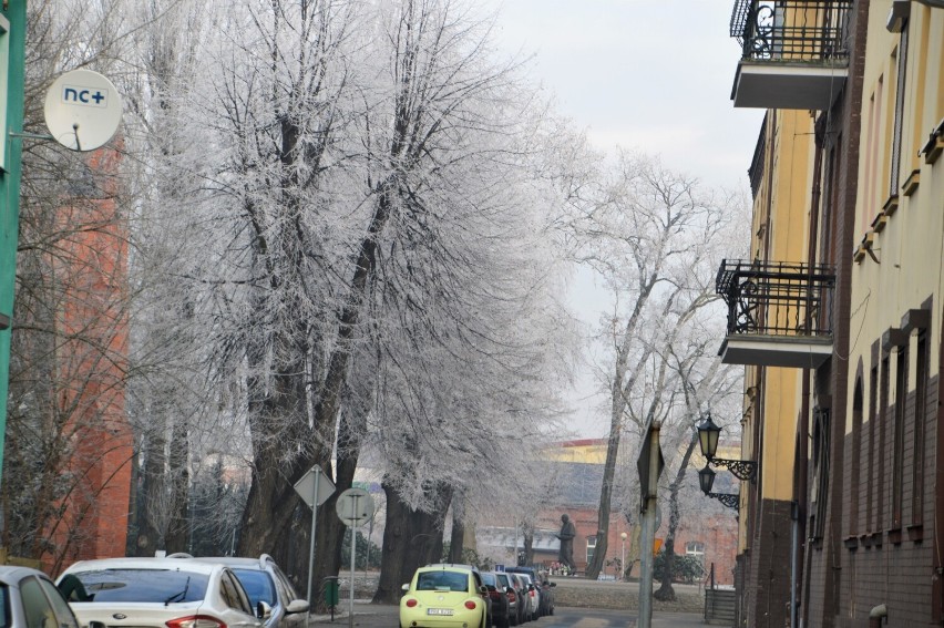 Zimowe krajobrazy w Rawiczu