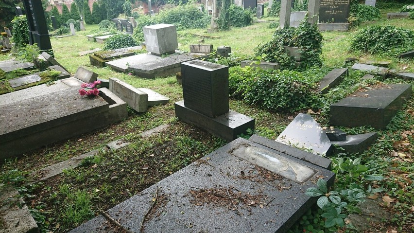Zniszczony cmentarz żydowski znajduje się w Bielsku-Białej....