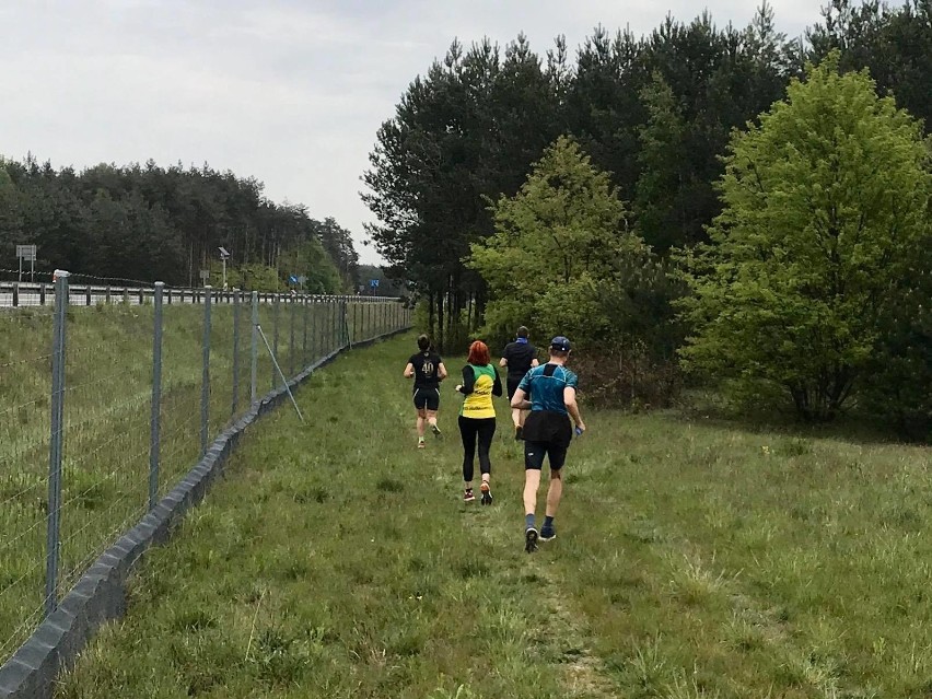 Rozbiegany Bełchatów. Klub Biegaczy Spartakus zaprasza do lasu [ZDJĘCIA]