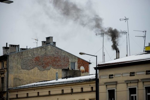 Każdego roku w Polsce smog przyczynia się do przedwczesnej śmierci blisko 50 tysięcy osób