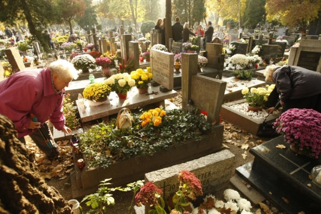 Okradali groby w Lubinie. Potrzebowali kwiatów do kwiaciarni. Teraz grozi im osiem lat więzienia.