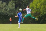 Lech Poznań Olimpia Grudziądz 2:1. Udany debiut Nenada Bjelicy [ZDJĘCIA]