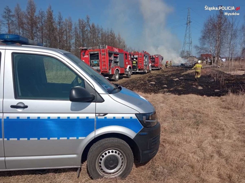 91-letni myszkowianin wypalał trawę i nie zapanował nad ogniem ZDJĘCIA