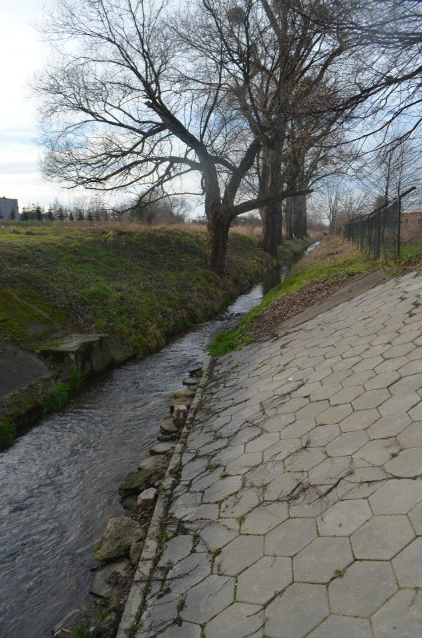 Koryto rzeki Ner na ul. Lipowej widoczne  na kilka metrów...