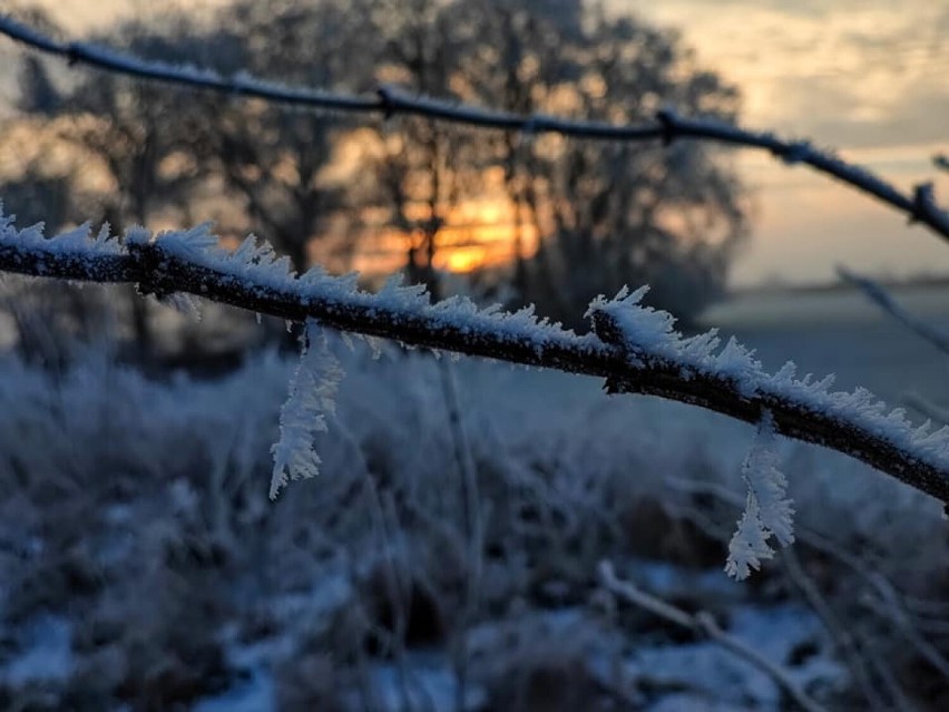 Szadź wyczarowała niesamowite obrazy. Okolice Pleszewa, to piękne zakątki