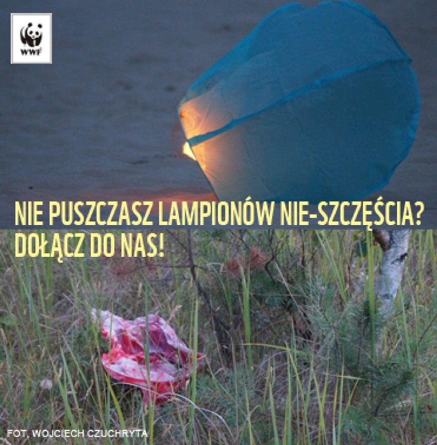 Sprzątną lampiony szczęścia. Akcja WWF Polska