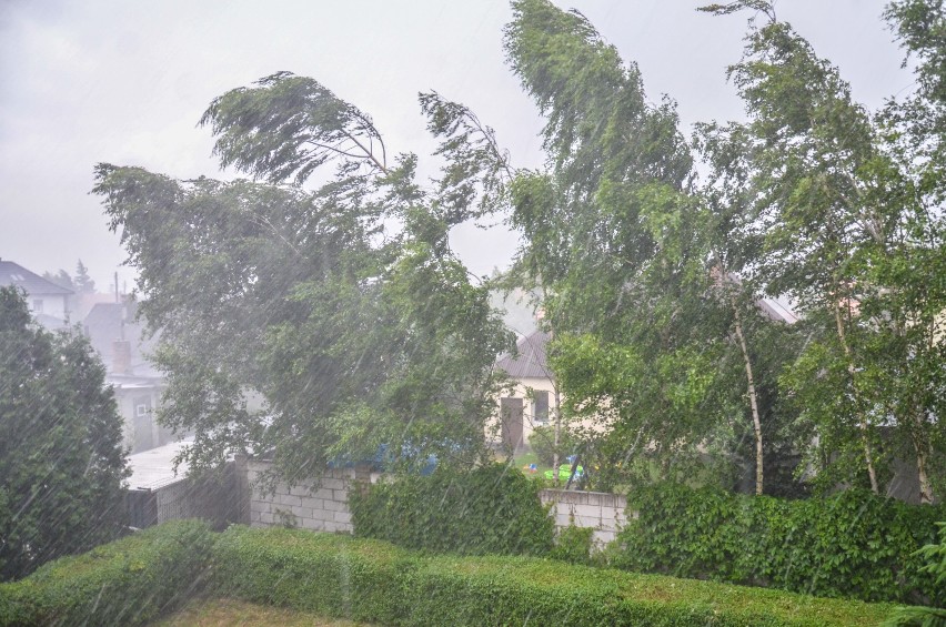 Burza nad powiatem. W Baborówku powalone drzewa zablokowały tory [ZDJĘCIA, AKTUALIZACJA]