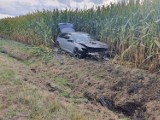 Wypadek w Gniazdowie. Samochód zjechał z drogi i wpadł w pole kukurydzy