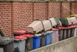 Rząd planuje zmobilizować obywateli do segregowania śmieci. Zobacz jak będą rosły ceny wywozu odpadów 