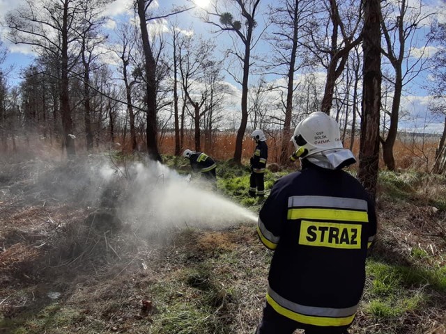 To była pracowita niedziela dla strażaków