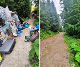 Leśnicy posprzątali obozowisko Wilczyc w Bieszczadach. Las wrócił do poprzedniego stanu [ZDJĘCIA]