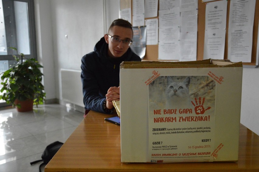Tarnów. Studenci tarnowskiej uczelni zorganizowali zbiórkę karmy dla zwierząt. Trafi ona do Fundacji Zmieńmy Świat