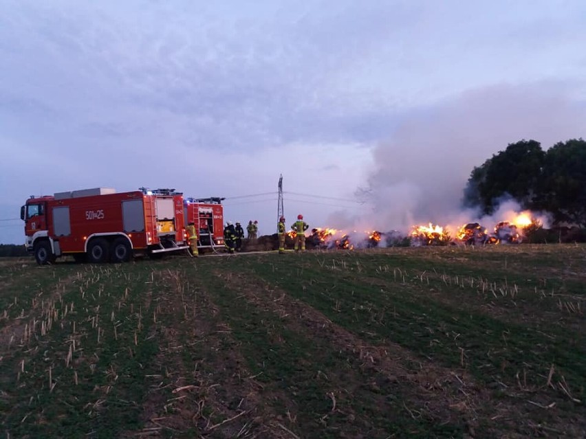 Powiat międzychodzki. Strażacy nadal gaszą pożary pól i słomy