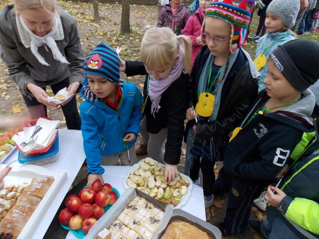 Przedszkole nr 16 było pierwszym w Gorzowie, w którym w 2009 r. posadzono renetę landsberską. Wczoraj obchodzono tu „Dzień Jabłka – Renety Landsberskiej”.