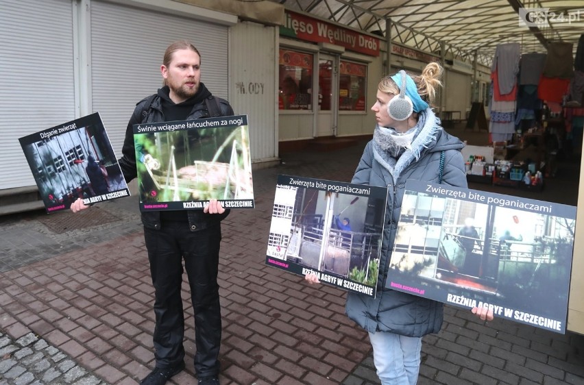 Aktywiści z Inicjatywy Basta! protestowali przeciwko zabijaniu zwierząt [WIDEO] 