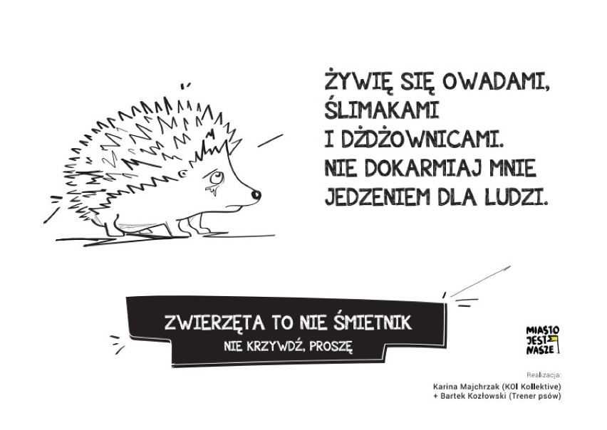 Zwierzęta to nie śmietnik. Aktywiści zwracają uwagę na problem resztek jedzenia na trawnikach