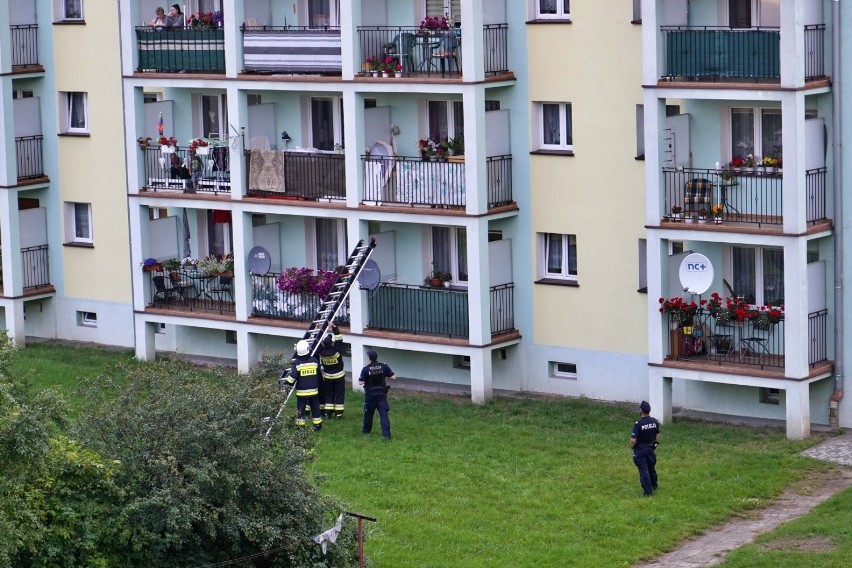 Policja oraz Ochtnicza Straż Pożarna z Debrzna interweniowali na ul. Czerniakowskiej