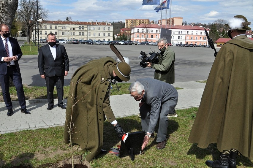 Dąb Pamięci poświęcony kpt. Władysławowi Zbrożkowi posadzono...