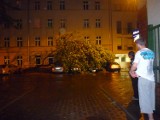 Burza powaliła drzewa w Poznaniu