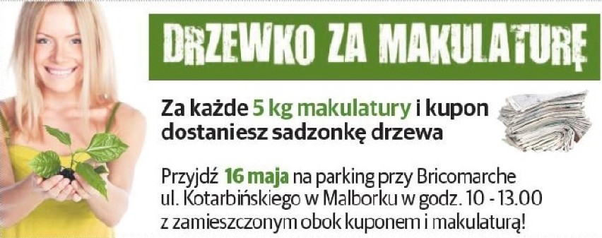 W piątek (16 maja) "Drzewko za makulaturę" w Malborku. Zaczynamy o godz. 10