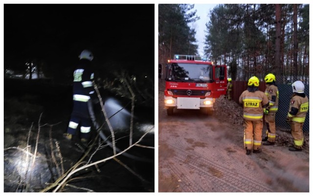 Pożary lasu i poszycia leśnego w gminie Włocławek