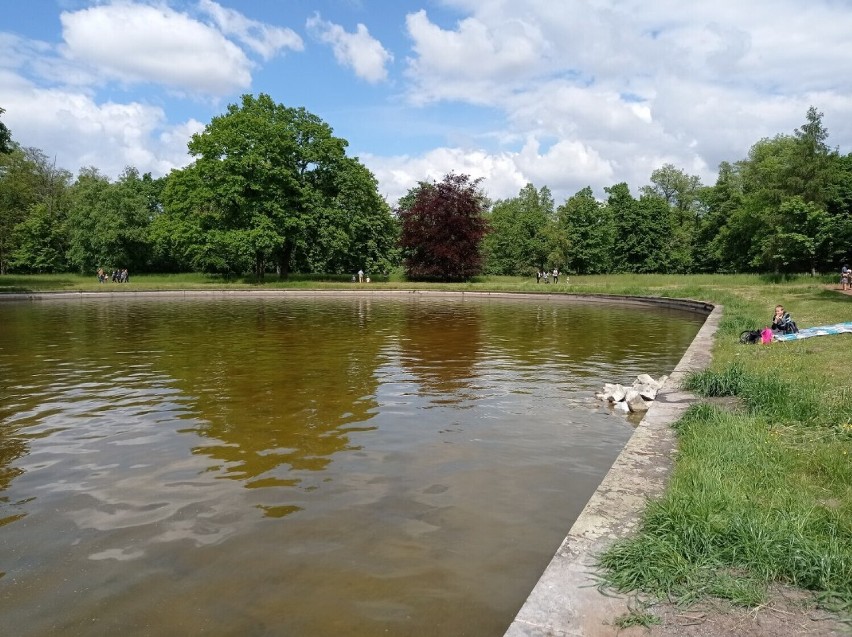 Park przy zamku doczeka się rewitalizacji