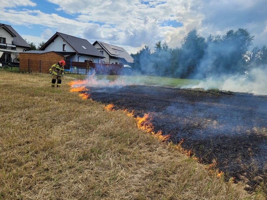 Pożar ścierniska w Żorach-Roju. To podpalenie?