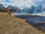 Pożar ścierniska w Żorach-Roju. To podpalenie? Zobacz zdjęcia strażaków z akcji