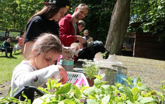 Nie brakowało chętnych do udziału w ekologicznych warsztatach rodzinnych „Maj w ogrodzie”, które odbyły się w Centrum Edukacji Ekologicznej
