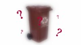 Burmistrz Kleczewa: Ktoś mi ukradł brązowy kontener na bioodpady. Wysoka nagroda za wskazanie „delikwenta”