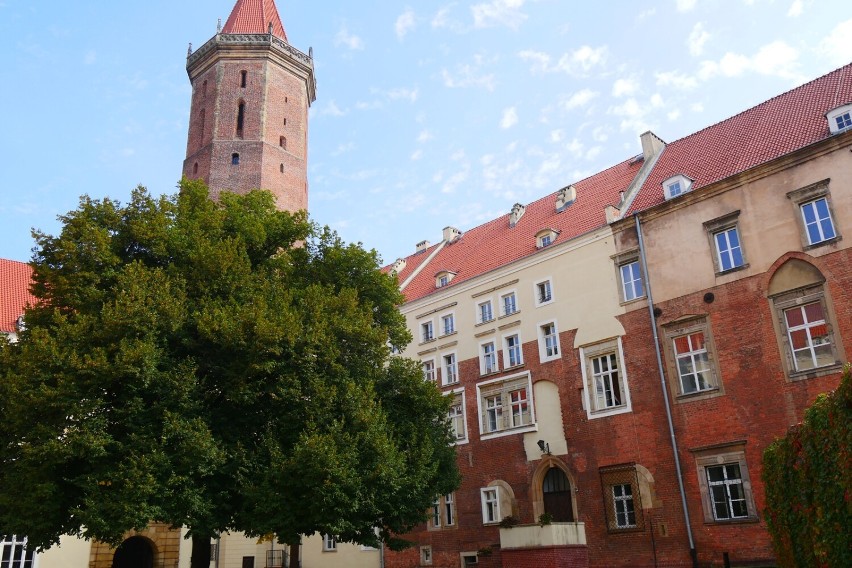 Legnica. Przed nami ostatni weekend sezonu turystycznego. Skorzystaj z ostatniej okazji i wejdź na wieżę widokową!