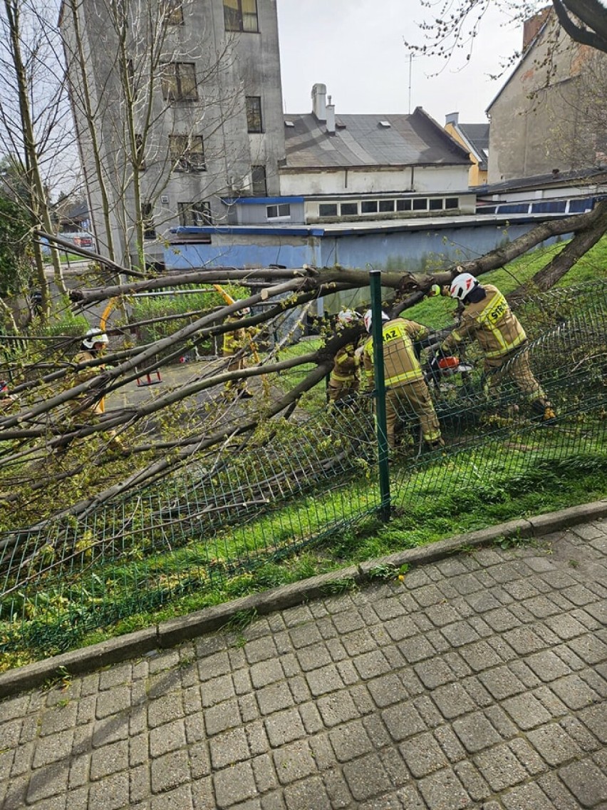 Porywisty wiatr nad woj. śląskim! Połamane drzewa, uszkodzone dachy, ludzie bez prądu... - ZDJĘCIA! Dziś też jest ostrzeżenie IMGW