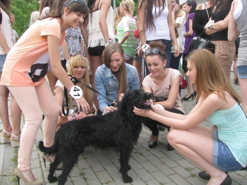 Ostrów: Kandydatki na Miss Wielkopolski 2013 w schronisku dla zwierząt w Wysocku Wielkim [ZDJĘCIA]