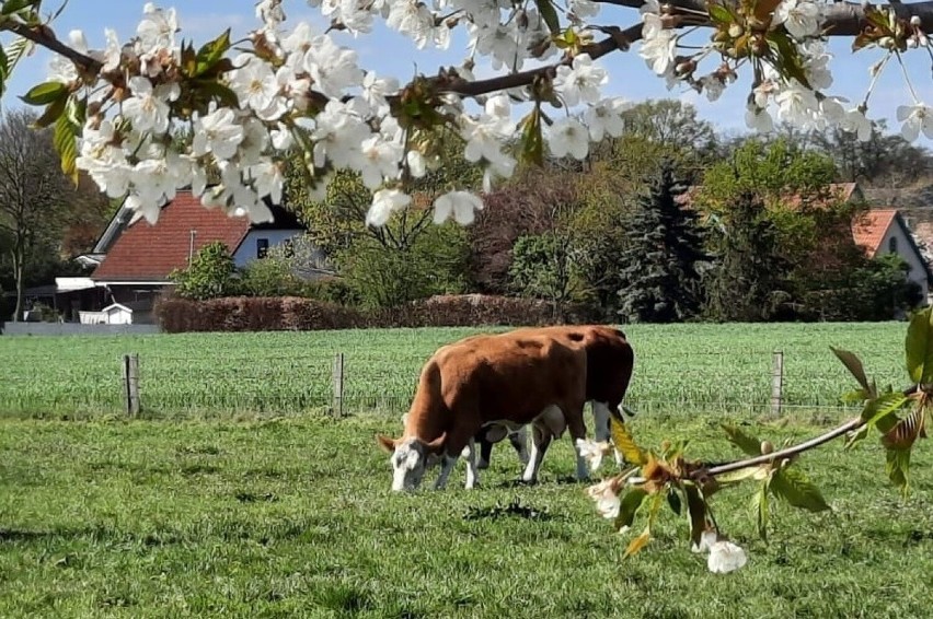 Majówka 2023. Zobacz, jak długi weekend majowy spędzają nasi...