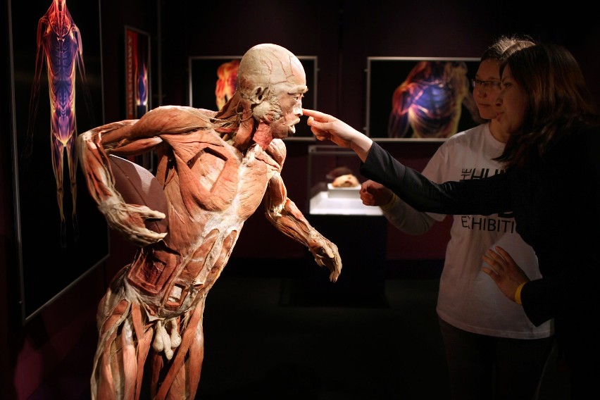 "The Human Body Exhibition" w Krakowie. Co sądzicie?

"The...